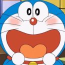 사랑농장 | [다정한 농장 와일드 루꼴라] 쿠팡 루꼴라 내돈내산 후기