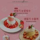 카페인그레이스