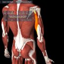 팝스&베스트 퍼스널 트레이닝 이미지