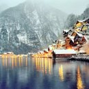 그루터기 이미지