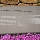 영천 선원동 철조여래좌상 이미지