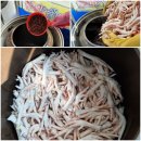 가월가물치 이미지