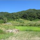 서면 당림2리 이미지