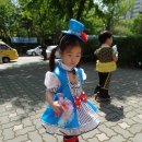 산들바람 이미지