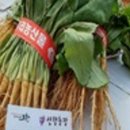 선향농장 이미지