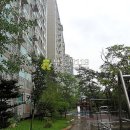 화산중앙로 이미지