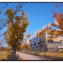 대평동_시드니힐 이미지