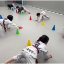 한국체대 참태권도장 이미지