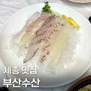 세종수산 | 세종 고운동 횟집 '부산수산' 두툼한 모둠회 내돈내산 솔직후기