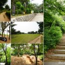 양천산성 티스토리