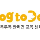 매너독반려견교육센터 이미지