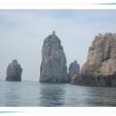 백도겸 카카오 검색결과