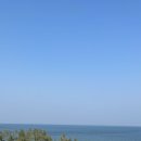 아미카사 이미지