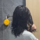 조군헤어 이미지