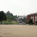 신풍초등학교 이미지