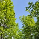 율량동 대원칸타빌4차 아파트｜산책로·커뮤니티·우회도로까지 실거주 추천 대원씨티:***-****-**** 이미지
