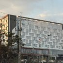 나인트리 드라이브 인 호텔 | 나인트리 바이 파르나스 서울판교 트리플룸 주차 및 솔직 후기