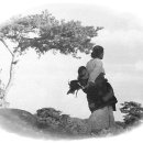 십자가축병원 이미지