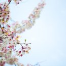 반도정형외과병원 이미지
