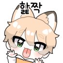 e편한드림공인중개사사무소 이미지