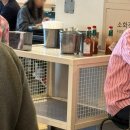18 | [대구대학교 겹벚꽃 개화 현황, 대구대 미즈 후기(4/18)]