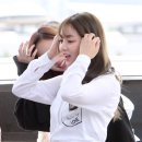 지효 카카오 검색결과
