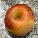 의성사과 | 내돈내산 세척사과 추천 🍎 아침마다 챙겨먹는 하이프루츠 의성 세척사과 후기
