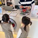 시골놀이터 | [서울 근교]쌍둥이들 딸기따기체험과 실내놀이터까지 - 딸기당 후기