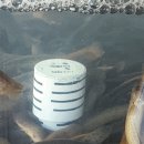 이천쌀밥 설악추어탕 | [3년 전 오늘] 이천쌀밥 설악추어탕 용현동 맛집