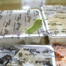 올리브떡볶이 이미지