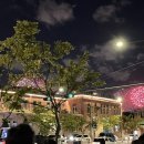 서초대로1길 38-5_ 이미지