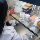 그린메디칼컨설팅 아시아경제
