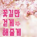 샛별님 반깁니다.5등......^^ 이미지