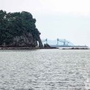 대영장어 이미지