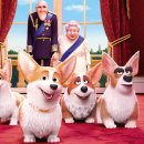 프린스 코기 이미지