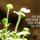 씨앗사랑 이미지