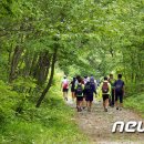 광원리 월둔교 이미지