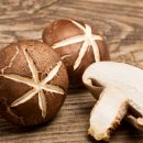 김포표고버섯농장 이미지