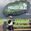 고고애월 민박 | 🌴🍊아이와 함께 하는 2박 3일 제주여행_1탄(제이샵 라운지제이/뚱딴지/별채민박)
