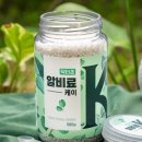 (봄맞이) 홈가드닝 이미지