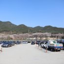 송해공원 제3주차장(2) 네이버블로그