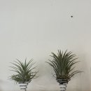 노원-공릉-3182 이미지