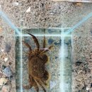 독립-20-01 이미지