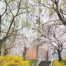 홍스킨 - 용인시 기흥구 | 홍스킨