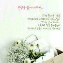 행복하시개 Daum카페