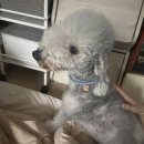 김지현헤어샵