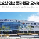 동초등학교사거리 이미지