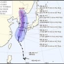 (주)뉴평화관광여행사 이미지