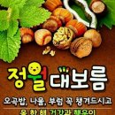 동판교대교공인중개사사무소 이미지