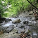 월성민박 이미지